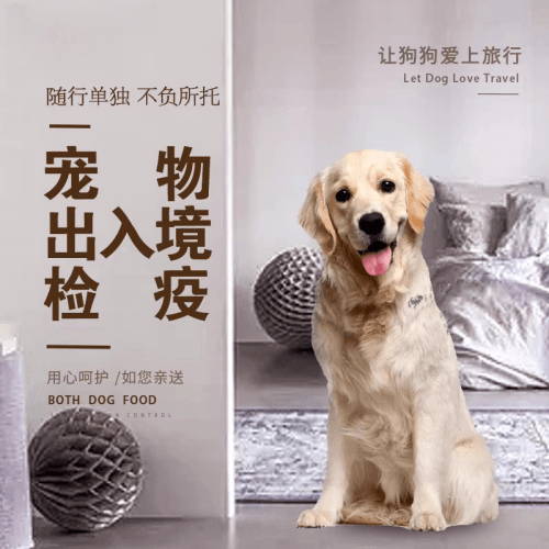 拉萨市宠物托运到哥伦比亚猫狗宠物入境规定和