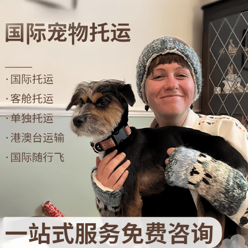 拉萨市国际宠物托运到阿根廷宠物入境规定和要