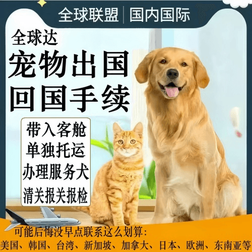 拉萨市宠物托运到柬埔寨宠物入境规定和要求