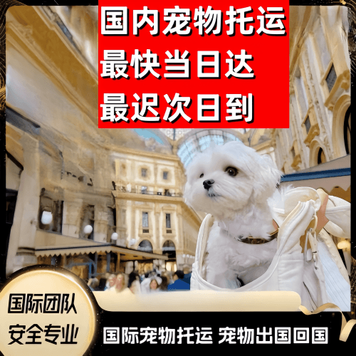 拉萨市到澳大利亚（澳洲）宠物入境规定和要求